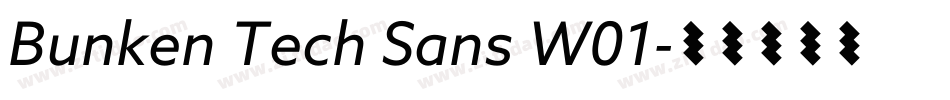 Bunken Tech Sans W01字体转换